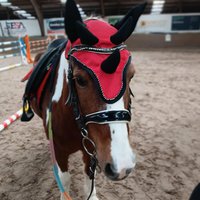 halloween jumping 2025